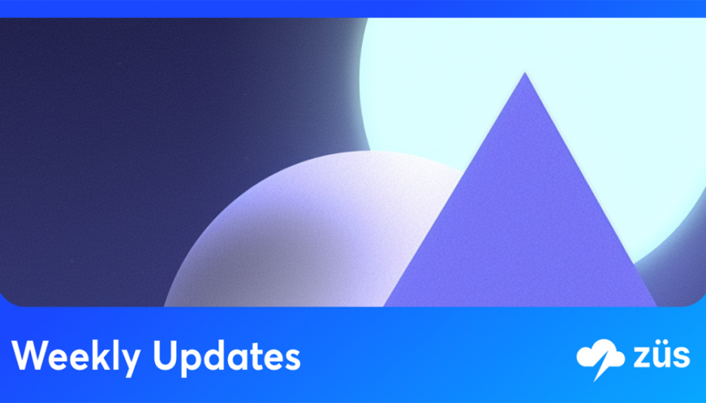 Vital Security Integration For Product Design and Decentralized Storage | Züs