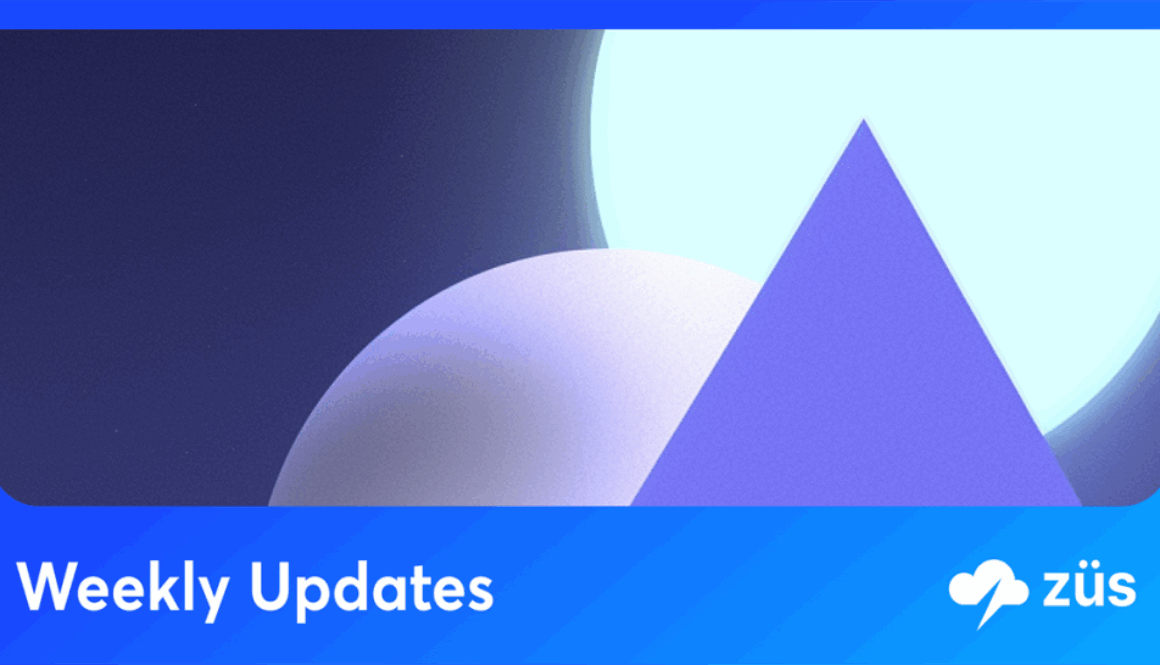 Vital Security Integration For Product Design and Decentralized Storage | Züs